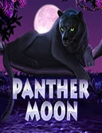 รีวิวเว็บ 234 เกม สนุกสุดมันส์กับสล็อตออนไลน์